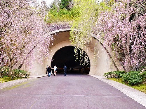森の中の美術館 社長のほっとタイム